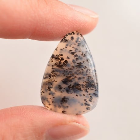 デンドリティックアゲート Dendritic Agate N019
