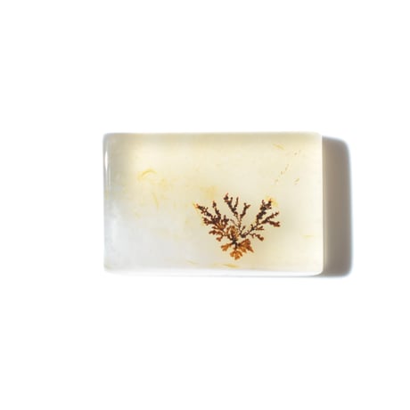 デンドリティックアゲート Dendritic Agate 092