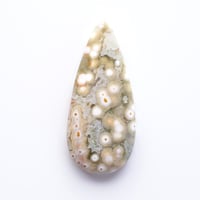 オーシャンジャスパー Ocean Jasper N008