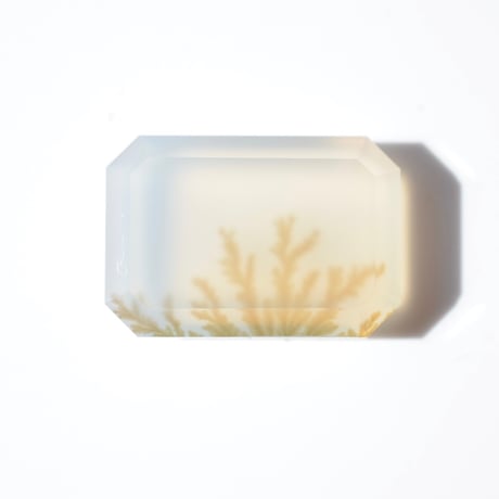 D1★特選ご奉仕★生活習慣の改善☆【15.5-16.2デンドリックアゲート】❤️ 華やかな個性を感じさせる】デンドリティックアゲート 20.7ct