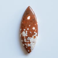 オーシャンジャスパー Ocean Jasper N006