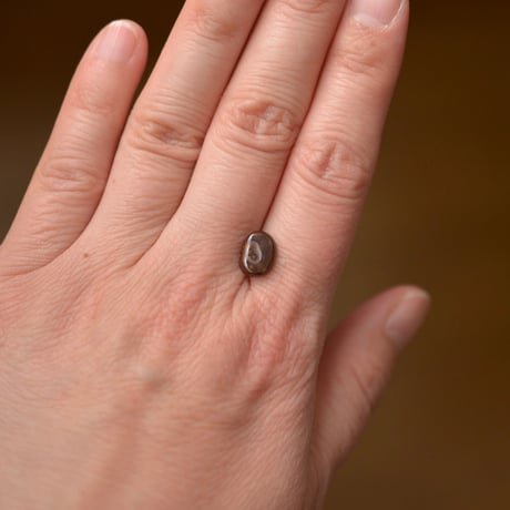 ファイヤーアゲート Fire Agate N017