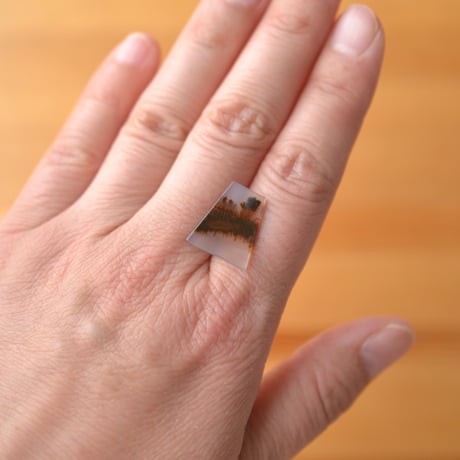 デンドリティックアゲート Dendritic Agate 077