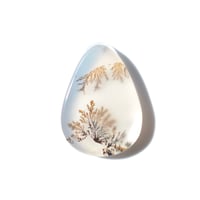 デンドリティックアゲート Dendritic Agate 093