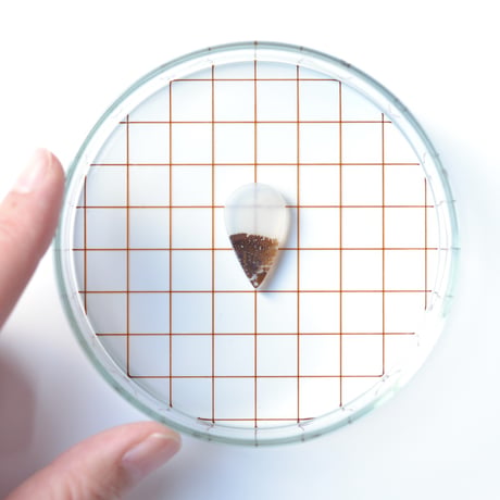 デンドリティックアゲート Dendritic Agate N048