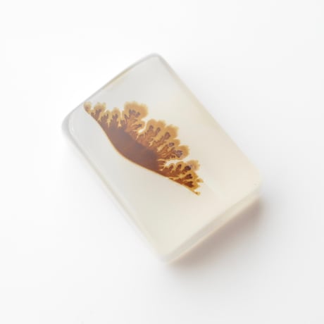 デンドリティックアゲート Dendritic Agate N145
