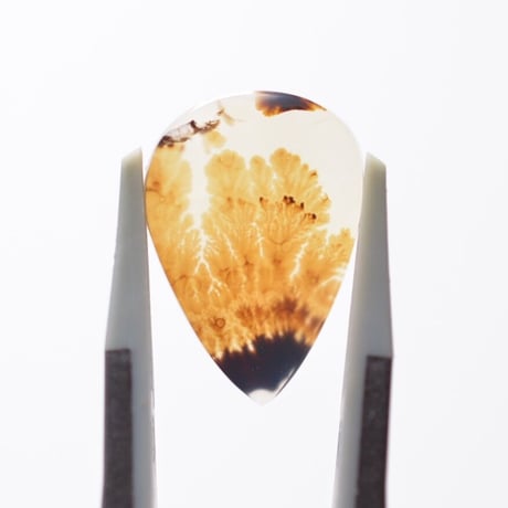 デンドリティックアゲート Dendritic Agate 017