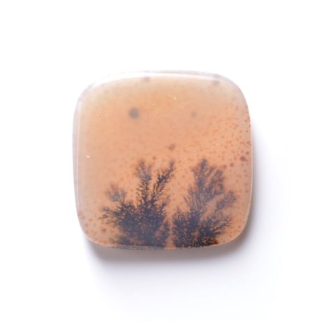デンドリティックアゲート Dendritic Agate 018