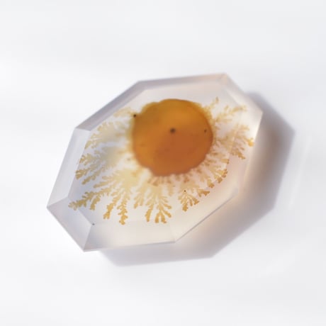 【自社研磨】デンドリティックアゲート Dendritic Agate 013