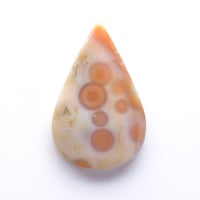 オーシャンジャスパー Ocean Jasper N009
