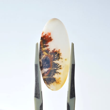 デンドリティックアゲート Dendritic Agate 047