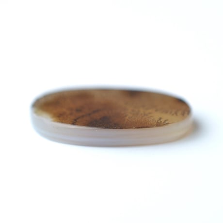 デンドリティックアゲート Dendritic Agate 022