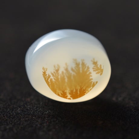 デンドリティックアゲート Dendritic Agate N116