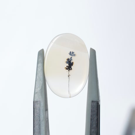デンドリティックアゲート Dendritic Agate 088