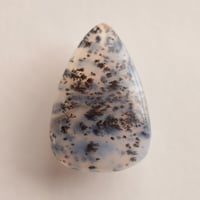 デンドリティックアゲート Dendritic Agate N019