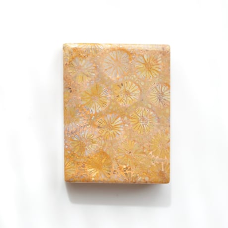 フォッシルコーラル Fossil Coral N024