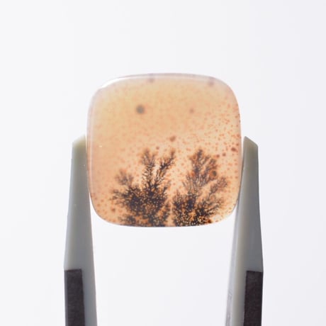 デンドリティックアゲート Dendritic Agate 018