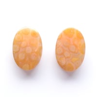 フォッシルコーラル・ペア Fossil Coral N013