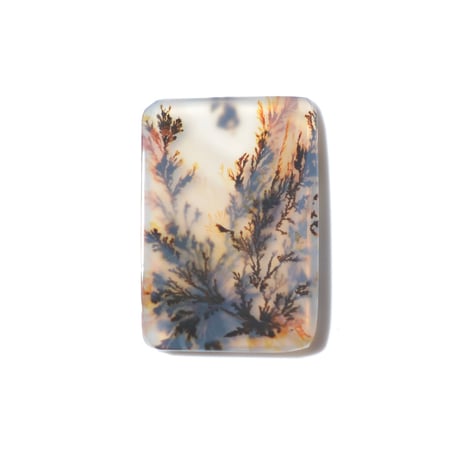 デンドリティックアゲート Dendritic Agate 098