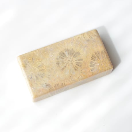 フォッシルコーラル Fossil Coral N027