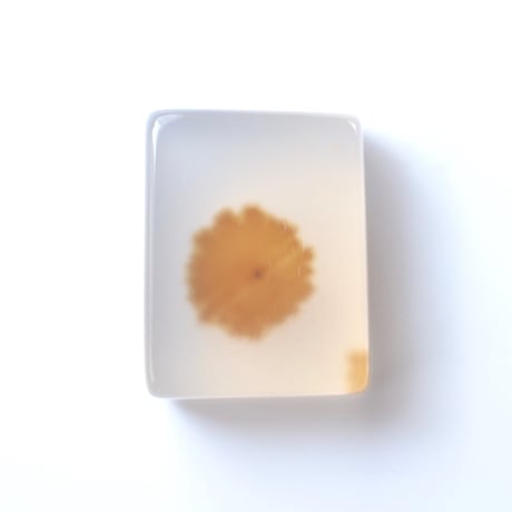 デンドリティックアゲート Dendritic Agate N133