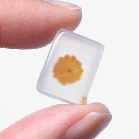 デンドリティックアゲート Dendritic Agate N133