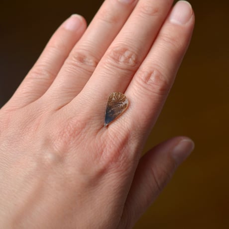 デンドリティックアゲート Dendritic Agate 063