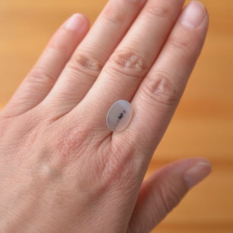 デンドリティックアゲート Dendritic Agate 088