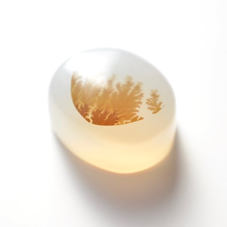デンドリティックアゲート Dendritic Agate N116