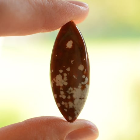 オーシャンジャスパー Ocean Jasper N006