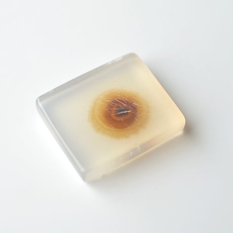デンドリティックアゲート Dendritic Agate N146