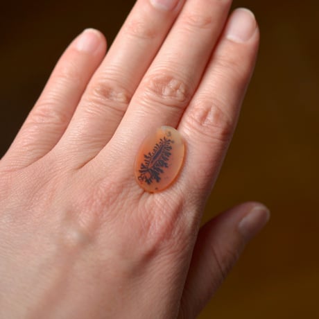 デンドリティックアゲート Dendritic Agate 049