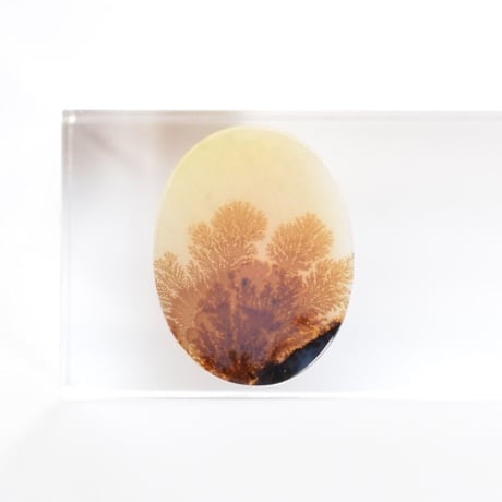 デンドリティックアゲート Dendritic Agate 002