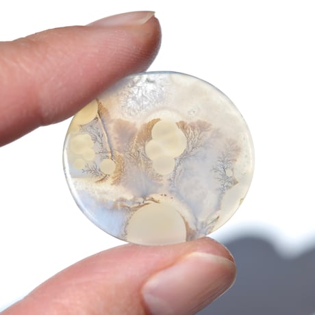 デンドリティックアゲート Dendritic Agate 073