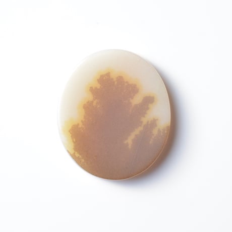 デンドリティックアゲート Dendritic Agate N035
