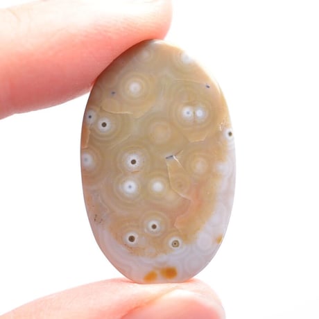 オーシャンジャスパー Ocean Jasper N013