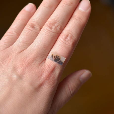 デンドリティックアゲート Dendritic Agate 072