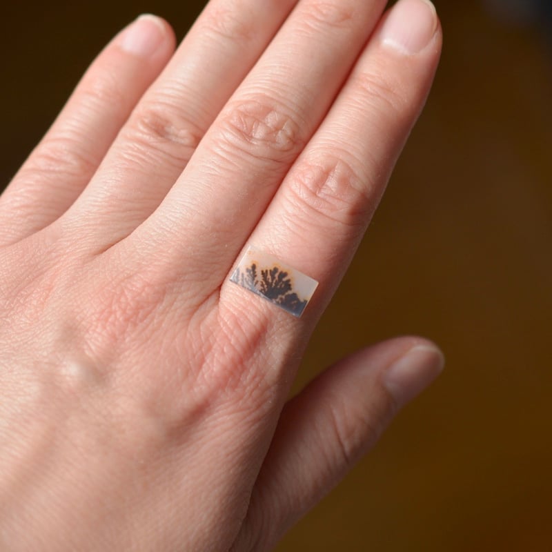 デンドリティックアゲート Dendritic Agate 072 | MARU