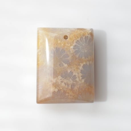 フォッシルコーラル Fossil Coral N055