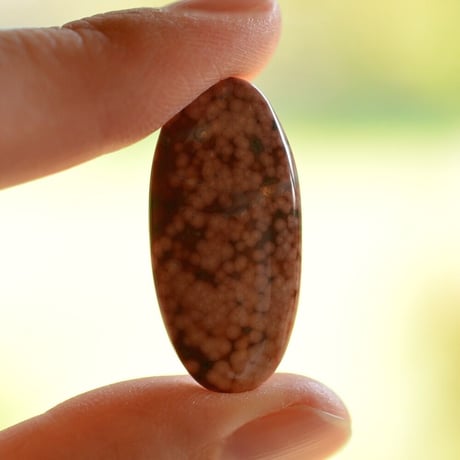 オーシャンジャスパー Ocean Jasper N005