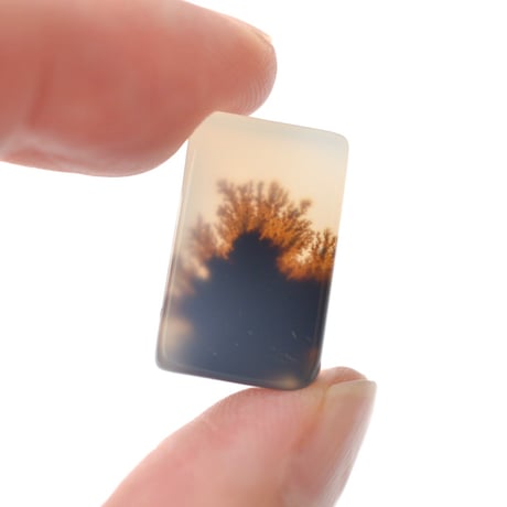 デンドリティックアゲート Dendritic Agate N150