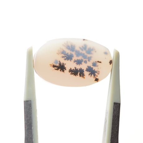 デンドリティックアゲート Dendritic Agate N087