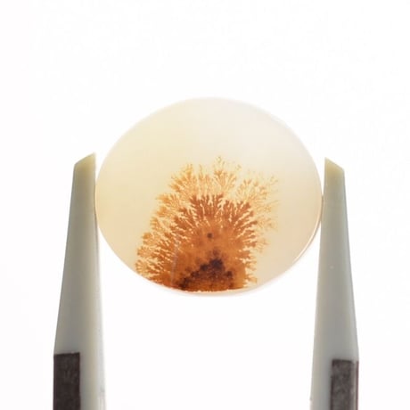 デンドリティックアゲート Dendritic Agate 003