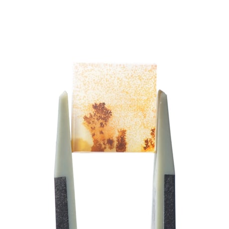 デンドリティックアゲート Dendritic Agate 062