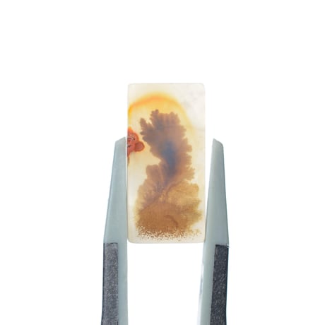 デンドリティックアゲート Dendritic Agate 082