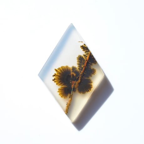 CATEGORY デンドリティックアゲート/Dendritic Agate | MARU
