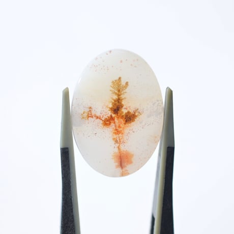 デンドリティックアゲート Dendritic Agate 048