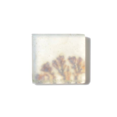 デンドリティックアゲート Dendritic Agate 102