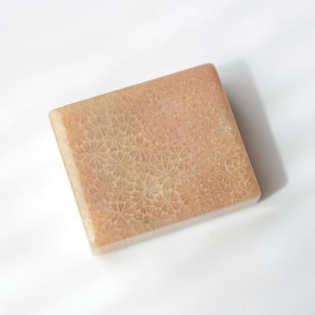 フォッシルコーラル Fossil Coral N038