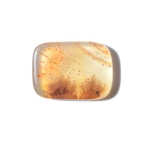 デンドリティックアゲート Dendritic Agate 081